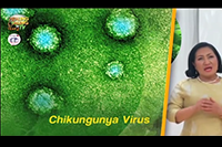 http://healinggaling.ph/wp-content/uploads/2016/12/Chikungunya.png