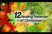http://healinggaling.ph/wp-content/uploads/2017/01/healinghalaman.png