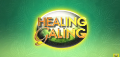 http://healinggaling.ph/wp-content/uploads/2025/11/Healing-Galing-Live-----AUGUST-16-2025-wpcf_237x113.png