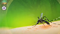 https://healinggaling.ph/ph/wp-content/uploads/sites/5/2016/09/dengue-wpcf_200x113.png