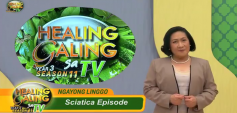 https://healinggaling.ph/ph/wp-content/uploads/sites/5/2018/05/sciatica-wpcf_237x113.png