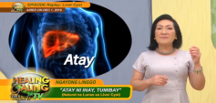 https://healinggaling.ph/ph/wp-content/uploads/sites/5/2020/02/Liver_Cyst_Replay-wpcf_237x113.png