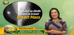 https://healinggaling.ph/ph/wp-content/uploads/sites/5/2020/02/breast-wpcf_237x113.png