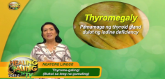 https://healinggaling.ph/ph/wp-content/uploads/sites/5/2020/03/Thyromegaly-wpcf_237x113.png