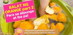 https://healinggaling.ph/ph/wp-content/uploads/sites/5/2024/07/Orange-Peel-Part-2-wpcf_237x113.jpg