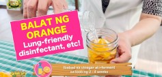 https://healinggaling.ph/ph/wp-content/uploads/sites/5/2024/07/Orange-Peel-wpcf_237x113.jpg