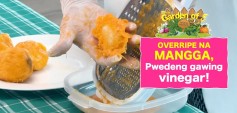 https://healinggaling.ph/ph/wp-content/uploads/sites/5/2024/08/Mango-vinegar-wpcf_237x113.jpg