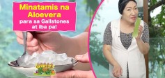 https://healinggaling.ph/ph/wp-content/uploads/sites/5/2024/11/Garden-of-E-Minatamis-na-Aloevera-para-sa-Gallstones-at-iba-pa-wpcf_237x113.jpg