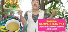 https://healinggaling.ph/ph/wp-content/uploads/sites/5/2024/11/Garden-of-E-Sampa-sampalukan-Tea-para-sa-Kidney-Stones-at-iba-pa-wpcf_237x113.jpg