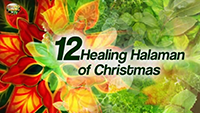 http://healinggaling.ph/wp-content/uploads/2017/01/healinghalaman-wpcf_200x113.png