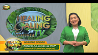 http://healinggaling.ph/wp-content/uploads/2019/03/S14EP01-wpcf_200x113.png