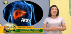 http://healinggaling.ph/wp-content/uploads/2019/12/liver_cyst-wpcf_237x113.png