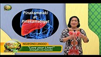http://healinggaling.ph/wp-content/uploads/sites/5/2017/09/Liver-wpcf_200x113.jpg